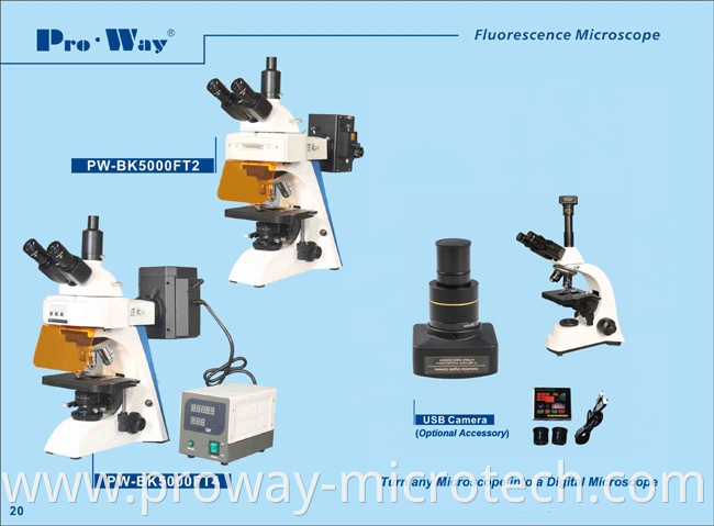 Professional Fluorescence Biological Microscope (PW-BK5000FT)